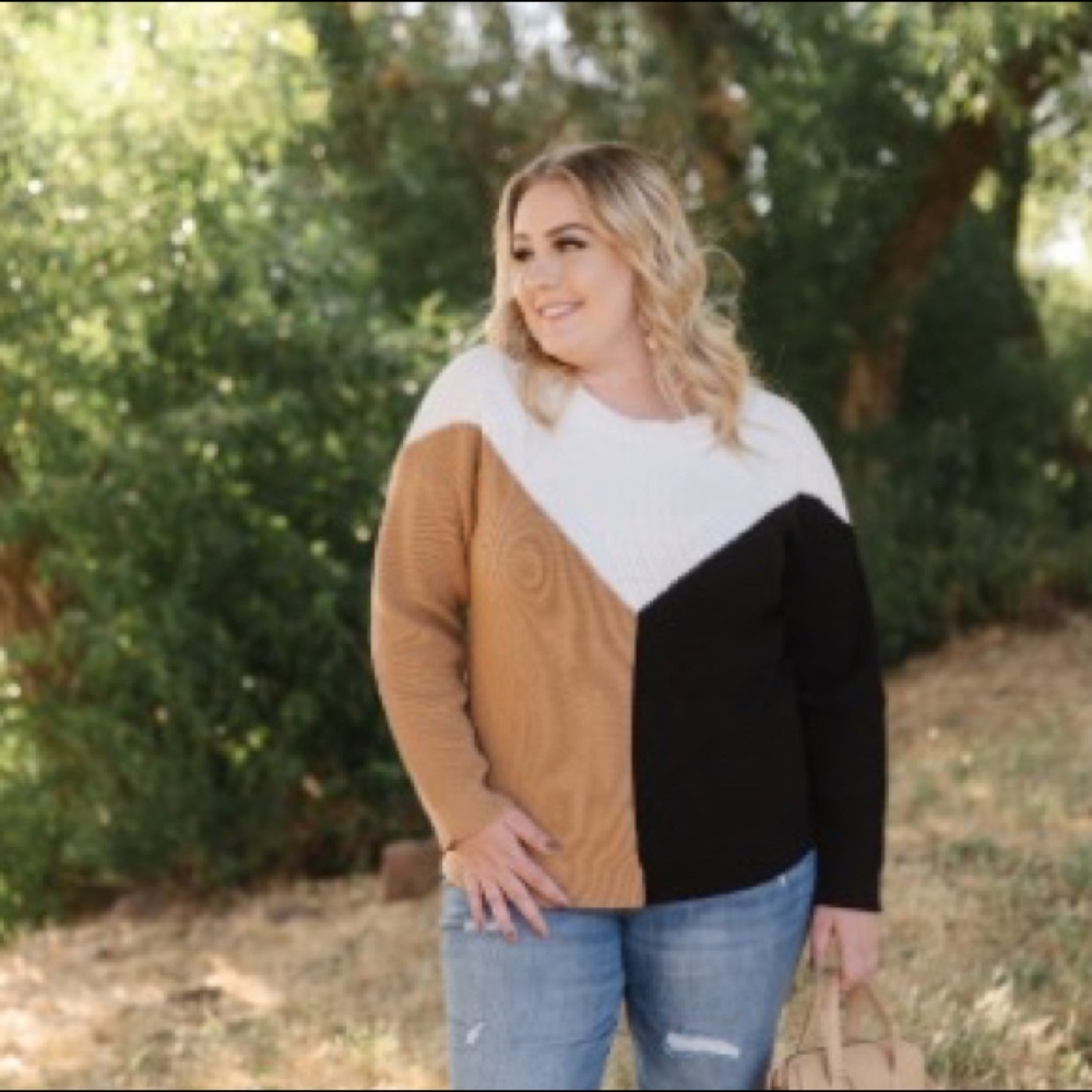 Neutral Chevron Sweater